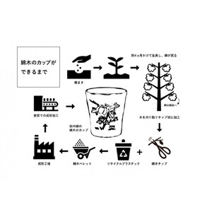 伯州綿の綿木のカップ(1個) 【鳥取県 境港市】