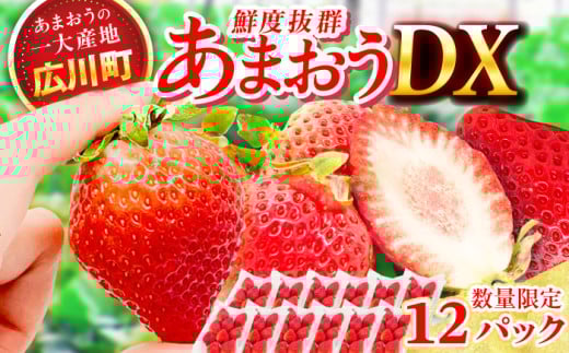 【★先行予約★　2026年2月より発送】あまおうDX等級 6ケース（270g×12パック） いちご 苺 フルーツ 果物 くだもの 旬 福岡県産 小分け 広川町 / JAふくおか八女農産物直売所どろや [AFAB006]