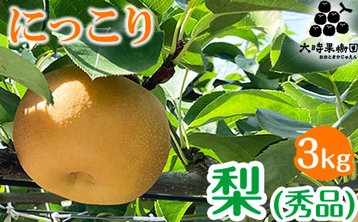 【先行予約】梨 にっこり (秀品)  3kg ※2026年10月～発送