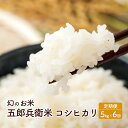 【ふるさと納税】幻のお米 五郎兵衛米コシヒカリ定期便（5kg×6回）　定期便・ ブランド米 銘柄米 白米 精米 ご飯 おにぎり お弁当 和食