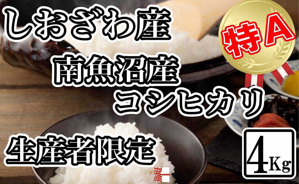 【令和7年産】生産者限定 契約栽培 南魚沼しおざわ産コシヒカリ4Kg【2025年10月上旬より順次発送予定】