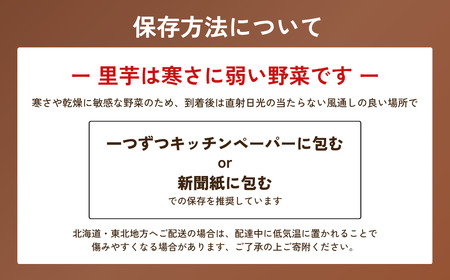 里芋 堀兼の里芋 自宅用  2.5㎏ | 里芋 里芋 里芋 市川農園 狭山市 埼玉県