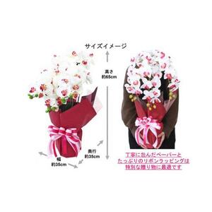 造花 シルクフラワーの胡蝶蘭の鉢植 3本立 光触媒 ホワイトオーキッド ／ お花 コチョウラン 埼玉県