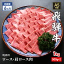 【ふるさと納税】【定期便6ヶ月】牛肉 飛騨牛 焼き肉 セット ロース 又は 肩ロース 1kg 黒毛和牛 A5 美味しい お肉 牛 肉 和牛 焼肉 BBQ バーベキュー 【岐阜県瑞穂市】　定期便