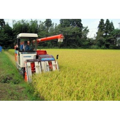 ふるさと納税 阿賀野市 【令和7年産】阿賀野市産コシヒカリ「風神の舞」10kg |  | 02