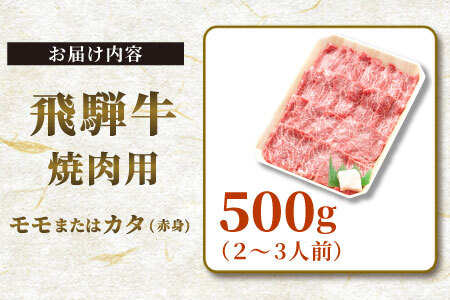 贅沢！ 飛騨牛 モモまたはカタ 焼肉用 500g 2～3人前 牛肉 和牛 肉 焼肉 BBQ 霜降り カルビ 赤身 モモ カタ 東白川村 岐阜 養老ミート