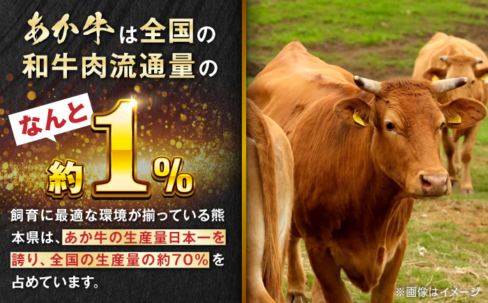 熊本和牛あか牛ホルモン 1kg 【有限会社 三協畜産】 [YCG114]