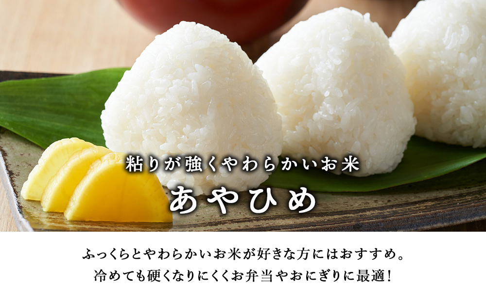 【令和7年産・新米】北斗米あやひめ10kg（5kg×2袋）
