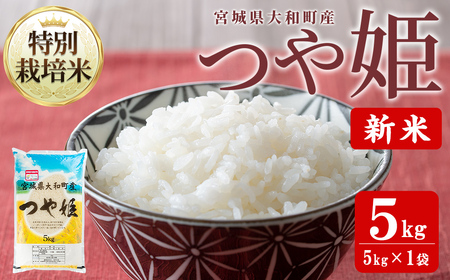 【令和8年産 新米】特別栽培米 つや姫 5kg お米 おこめ 米 コメ 白米 ご飯 ごはん おにぎり お弁当【農事組合法人若木の里】ta536