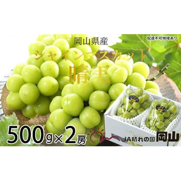 【ふるさと納税】ぶどう 2025年 先行予約 シャイン マスカット 晴王 約500g×2房 ブドウ 葡萄 岡山県産 国産 フルーツ 果物 ギフト | フルーツ 果物 くだもの 食品 人気 おすすめ 送料無料