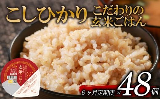 定期便 6回 こしひかり 玄米ごはんパック 120g 48個 玄米 米 お米 ごはん ご飯 こめ パックライス パックご飯 パックごはん ご飯パック ごはんパック パック ライス 備蓄 保存 非常 防災 電子 レンジ 温めるだけ レンチン 簡単 健康 ダイエット 美容 ヘルシー 48 48食 レトルト インスタント おいしい 人気 おすすめ 大阪 松原