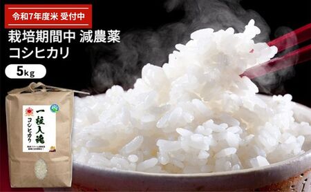 令和7年産 栽培期間中減農薬 コシヒカリ 5kg お米 精米 白米 玄米 ブランド米 銘柄米 ご飯 おにぎり お弁当 和食 産地直送 粘り 香り 旨み つや 白米