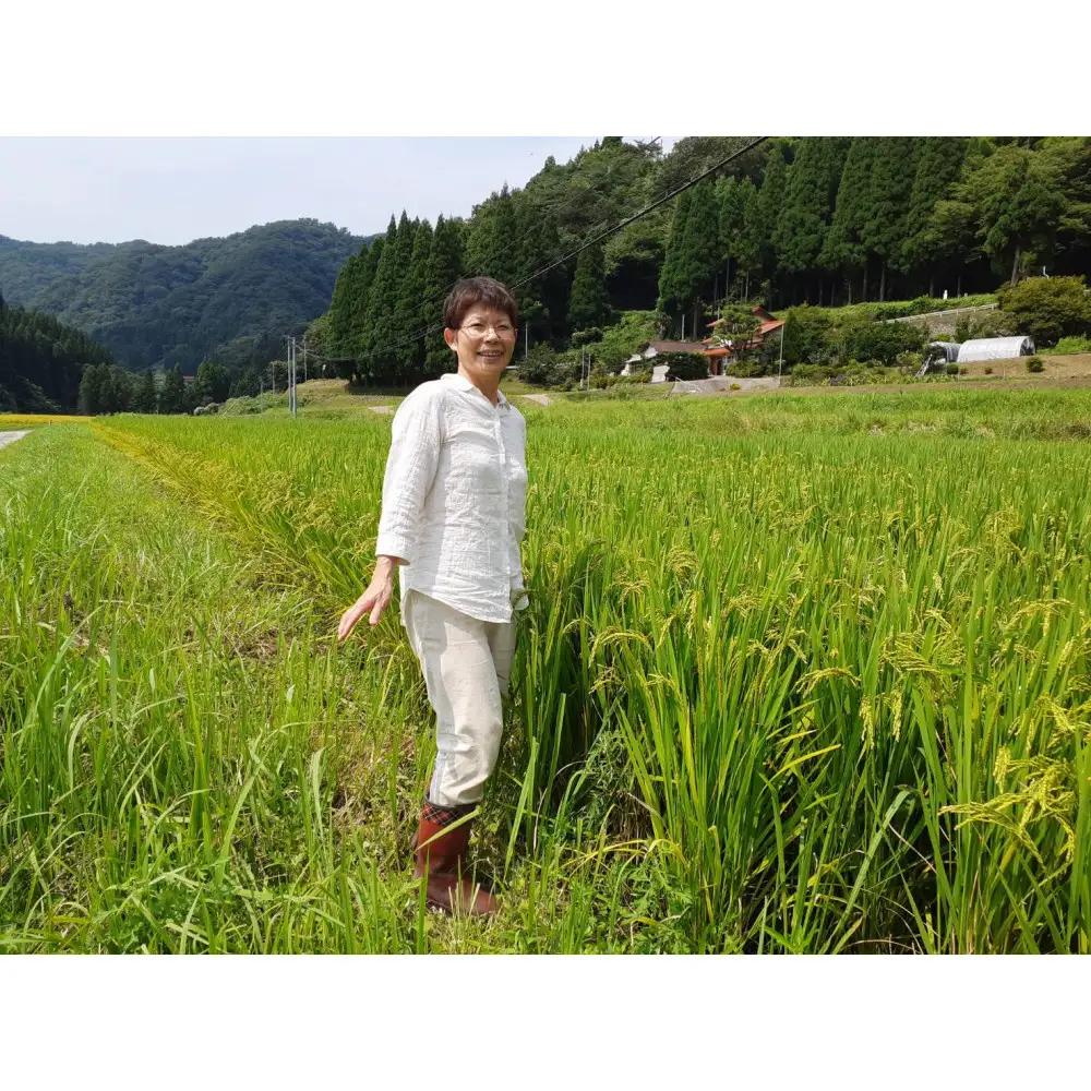 【定期便全6回】【令和8年産】有機肥料米ナオちゃんのお米【出雲市産きぬむすめ】計60kg（5kg×2袋ずつ）　 お米 精米 有機肥料米 出雲市産 美味しい【10月以降発送】