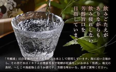 早瀬浦 純米大吟醸 山田錦 720ml × 1本 【入手困難 日本酒 就職祝い 転職祝い ハレの日 ギフト プレゼント お祝い お返し お礼 お中元 お歳暮 父の日 敬老の日 】[m06-c004]