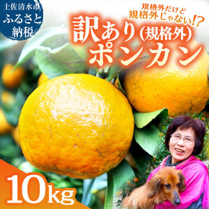 R8.1月下旬発送 規格外だけど規格外じゃない!? 訳あり 足摺ぽんかん 10kg デコポンの親 みかん 柑橘 果物 果実 ミカン ポンカン フルーツ おやつ デザート 5キロ 美味しい 井村農園【R01486】