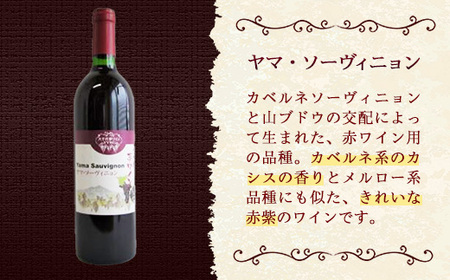 八千代夢ワイン シリーズ ヤマ・ソーヴィニョン（赤）・ つくば甲州（白）2本セット（茨城県共通返礼品・八千代町） ／ 国産 酒 アルコール ぶどう ギフト