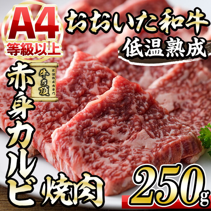 【ふるさと納税】おおいた和牛 赤身カルビ焼肉 (250g) 国産 牛肉 肉 霜降り 低温熟成 A4 和牛 ブランド牛 カルビ 焼肉 BBQ 冷凍 大分県 佐伯市【DH200】【(株)ネクサ】
