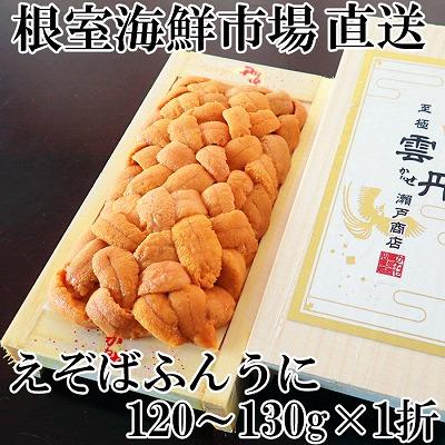 ふるさと納税 根室市 エゾバフンウニ(黄系)120〜130g×1折[2026年1月中旬以降発送] B-28125