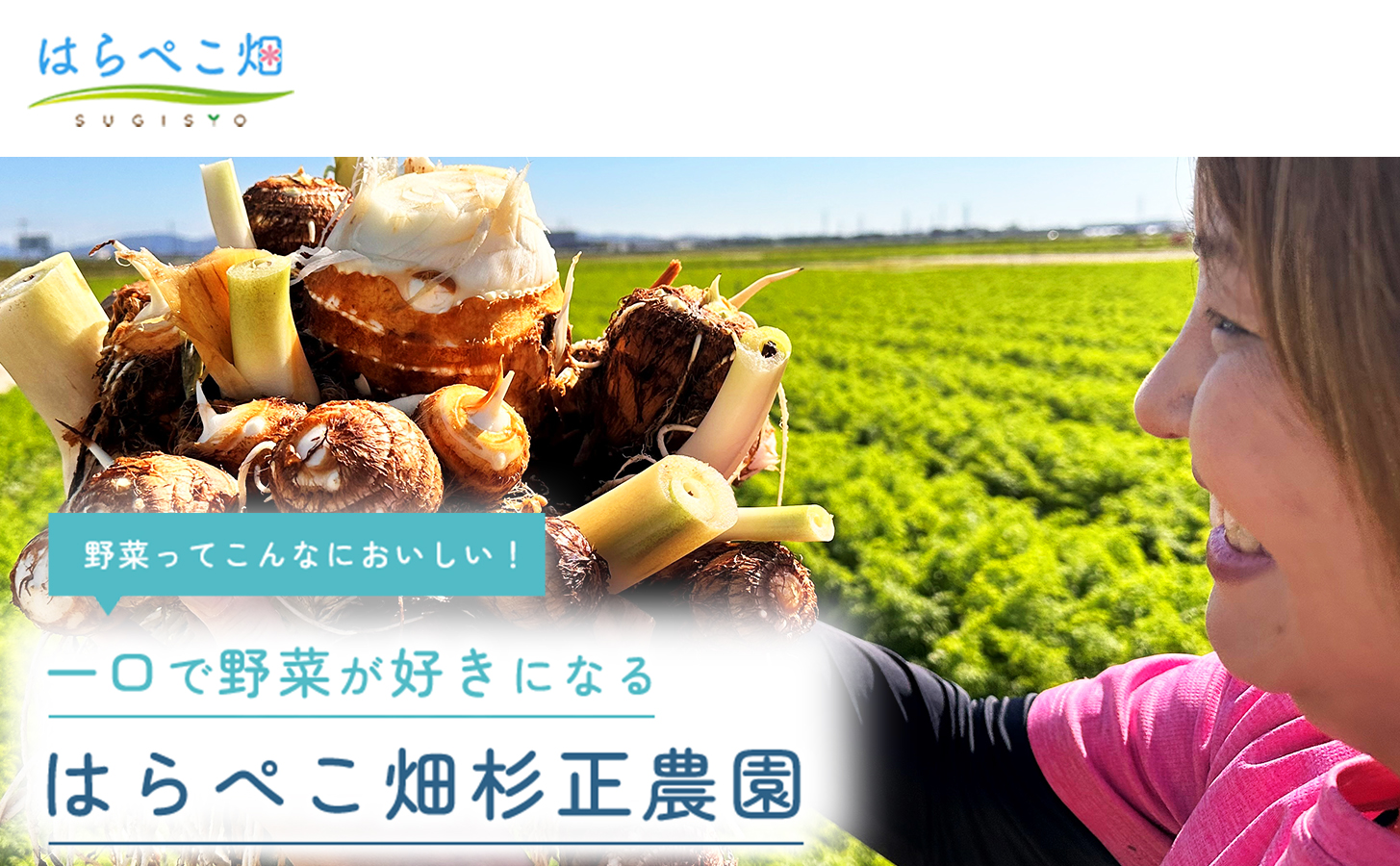 【ねっとり甘い蜜芋】さつまいも 紅はるか（4.5kg×2箱）合計9kg・H103