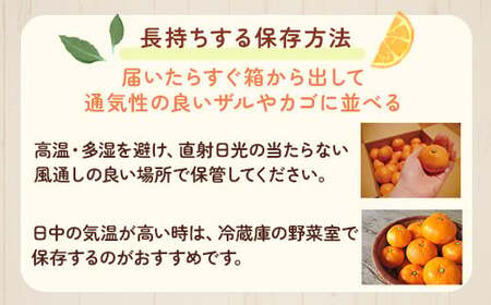 〈11月より発送〉完熟 プレミアム有田みかん 7.5kg+250g（傷み補償分） ｜ 柑橘 果物 フルーツ 糖度 甘い 濃厚 コク ジューシー 光センサー ※北海道・沖縄・離島への配送不可 ※2025