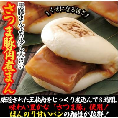 ふるさと納税 志布志市 【毎月定期便】鹿児島県産 さつま豚角煮まんじゅう(15個入り)全6回 |  | 01