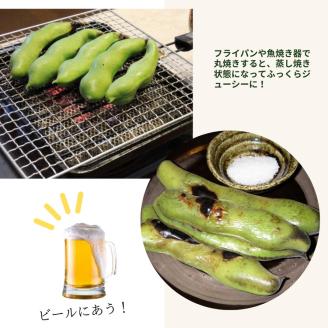 【2024年産 予約】甘～い そら豆 4kg【期間限定】京都府・亀岡産 自然栽培のかたもとオーガニックファームよりお届け※2024年4月末頃～6月初旬に順次発送予定※離島への配送不可