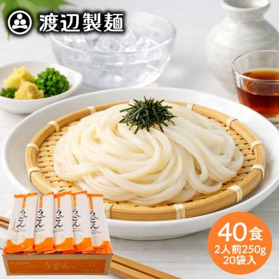 ふるさと納税 茅野市 うどん40食 1袋250g2人前×20袋(計5kg)乾麺 信州八ヶ岳よりお届け