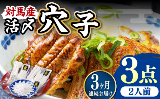 【全3回定期便】対馬産 活〆 穴子 ３点 セット B【THE・対馬株式会社】《対馬市》新鮮 あなご 刺身 天ぷら 海鮮 肉厚 簡単調理 二人前 [WAS009]