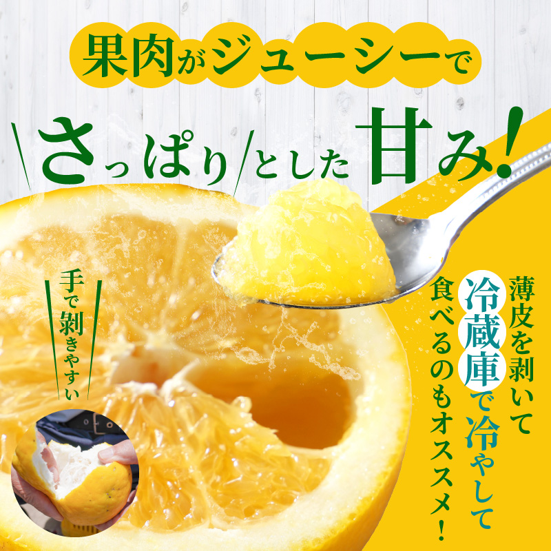 S040-023_【2025.6月発送】農家の手摘みあまくさ木成り晩柑 　約9kg 2025.6月発送