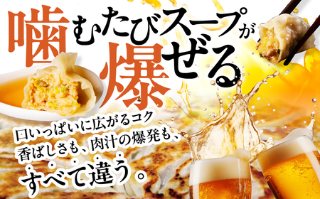 こだわり餃子定期便 全3回 定期便 餃子 ぎょうざ ギョウザ おつまみ 晩酌 毎日の食事に 白米によくあう お弁当 おかず 総菜 大容量 訳あり どうまい 愛知県 豊橋市 送料無料 3万円 焼き方レシ