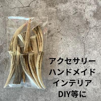 ふるさと納税 帯広市 鹿の角 枝先10cm前後200gセット 北海道産 アクセサリー クラフト材 |  | 02