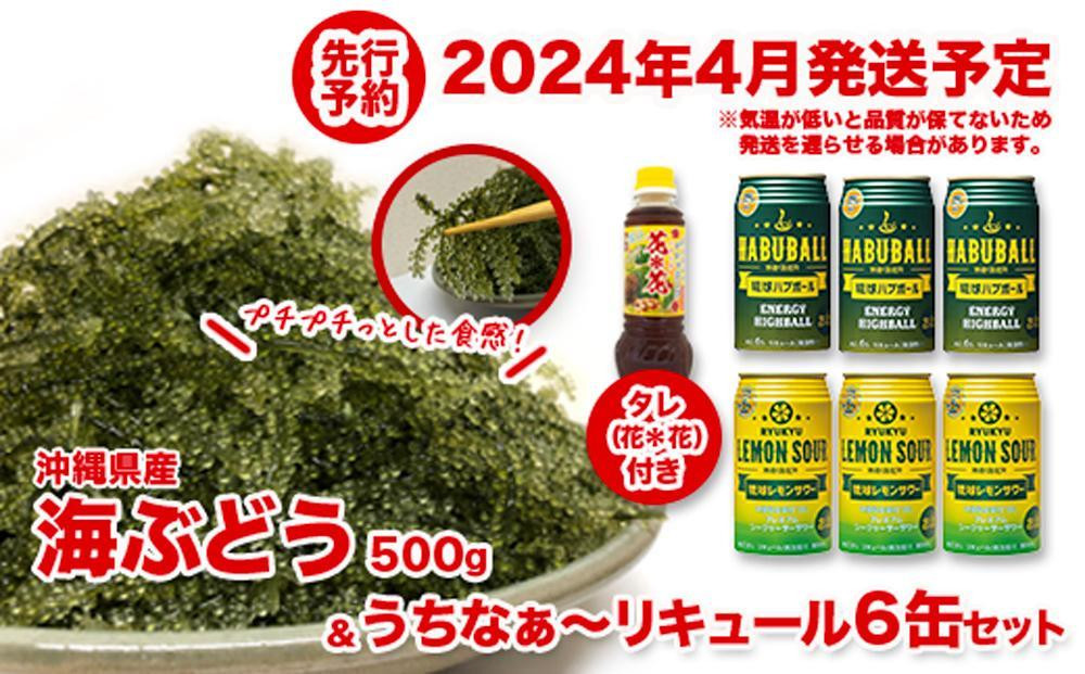 
2024年4月頃発送　海ぶどう500ｇ&リキュール6缶セット
