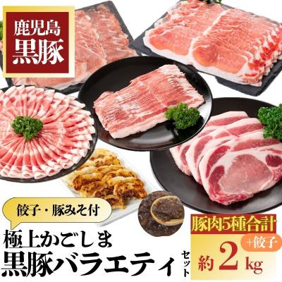 ふるさと納税 肝付町 かごしま黒豚バラエティセット　C02049