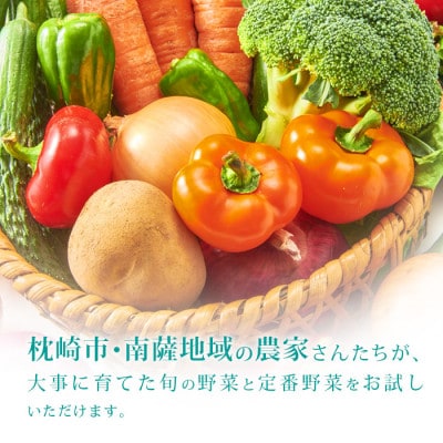 枕崎には野菜もある!!定番・旬のお試し野菜セット　A0−38【配送不可地域：離島】【1535821】