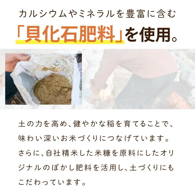 ＼先行予約／【全12回定期便】＜毎月＞山﨑観光農園のお米　コシヒカリ　白米5kg(AU051)