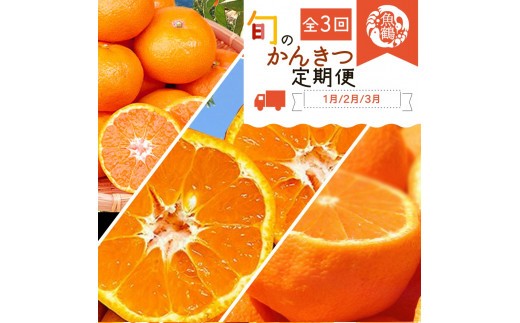 
                  【全3回】紀州和歌山産旬の柑橘定期便(みかん・不知火・せとか)【tkb382】
                
