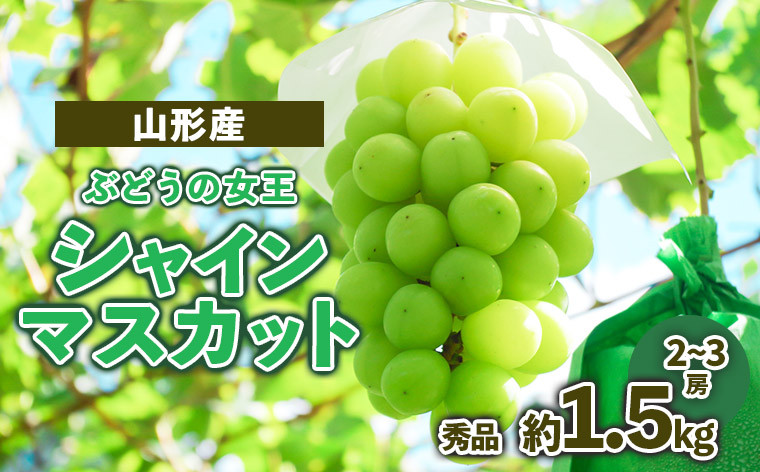 
            山形産 ぶどうの女王 シャインマスカット 秀品 約1.5kg FZ23-479
          