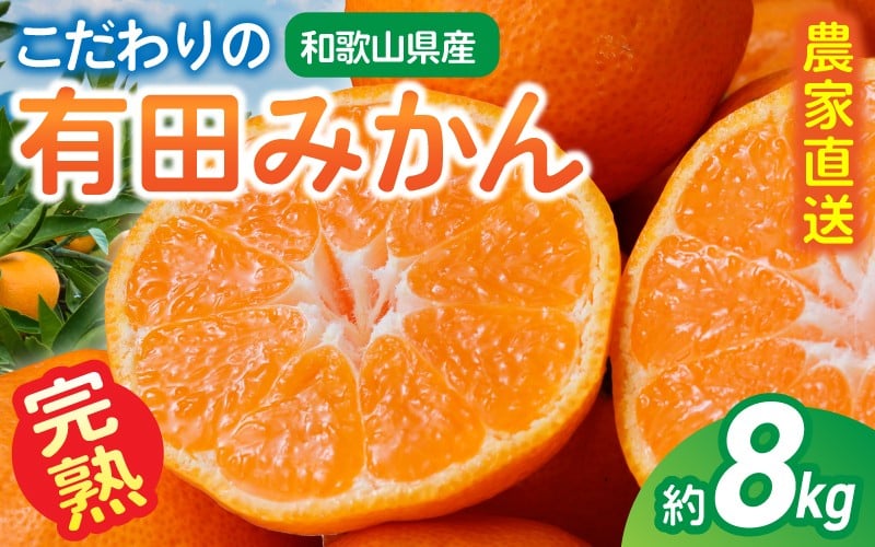
                  【ご家庭用】農家直送 こだわりの完熟有田みかん 約8kg＋250g(傷み補償分) 【12月・1月発送から選択可能】みかん ミカン 有田みかん 温州みかん 柑橘 有田 和歌山 産地直送【CE-nuk100B_cho】
                