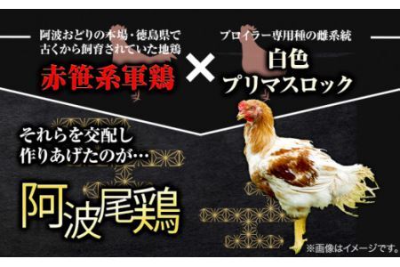 阿波尾鶏 鶏肉 もも肉 むね肉 食べ比べ セット 500g × 8パック 計4kg 岸農園 《30日以内に出荷予定(土日祝除く)》鶏肉 もも肉 むね肉 お肉 鳥肉 とり肉 阿波尾鶏 地鶏 大容量 小分