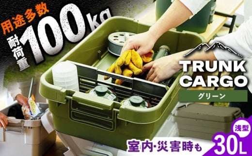 【グリーン】トランクカーゴ ロータイプM 1個 / 収納ボックス 収納ケース アウトドア 防災 キャンプ 道具箱 キャンプ用品 インテリア 岐阜県 / 恵那市 / 東谷株式会社 明智流通センター [AUAD034]