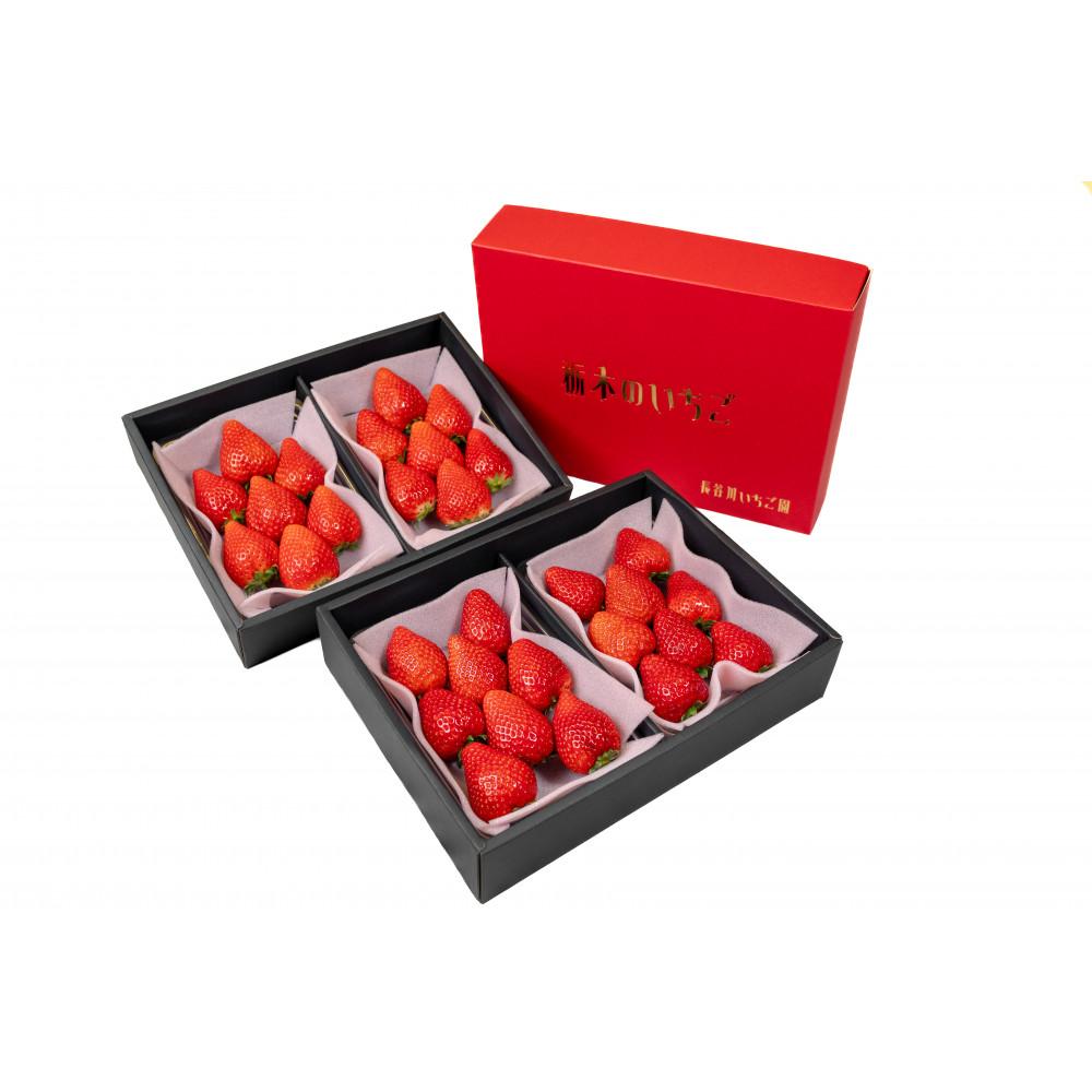 【ふるさと納税】甘くて大きい！長谷川いちご園 スカイベリー ＆ とちあいか セット 計4パック | 果物 フルーツ いちご 栃木 ブランド 栃木県【フルーツ 果物 くだもの 食品 人気 おすすめ 】