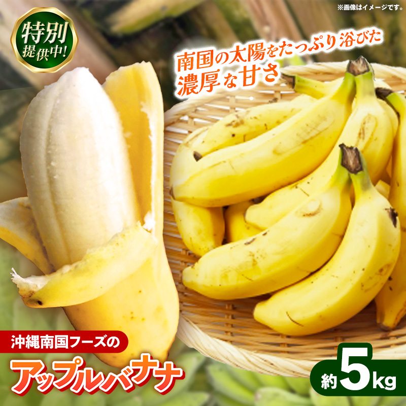 【特別提供中】 国産 希少種！南国フーズのアップルバナナ 約5kg - ばなな 小ぶり 沖縄県産 産地直送 果物 フルーツ 朝食 おすすめ 八重瀬町【価格改定】