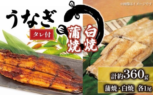 【土用の丑の日】 うなぎ 白焼・蒲焼 セット 180g × 2尾 計約360g タレ付 冷凍 ( グルメ うなぎ 鰻 新鮮 たれ  土曜 丑の日 真空パック おすすめ 滋賀県 竜王 送料無料 )