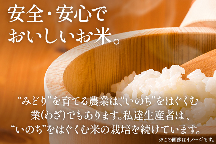 令和7年産 米 白米 ヒノヒカリ 精米 れんげ栽培米 自然農法れんげ栽培米「ヒノヒカリ」（精米・ 5kg）5kg れんげ草 れんげ栽培 有機肥料 有機栽培米 SDGs 環境 新米予約 国産 福岡県産 福岡県 大木町 中島農産 BI01