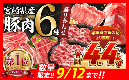 【令和6年12月配送】数量限定 豚肉 6種 盛り合わせ セット 合計4.1kg 豚 小分け 豚バラ 豚ロース 豚こま 国産 食品 人気 おかず 焼肉 しゃぶしゃぶ 豚丼 食べ比べ 料理に大活躍 使い勝手抜群 選べる配送月 ミヤチク 送料無料_CA51-24-12