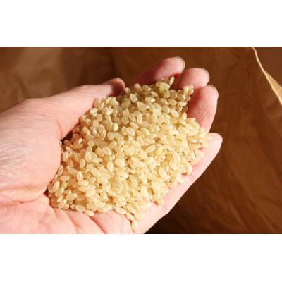 ふるさと納税 青森市 【五つ星お米マイスター厳選】青森県産　まっしぐら　白米10kg |  | 02