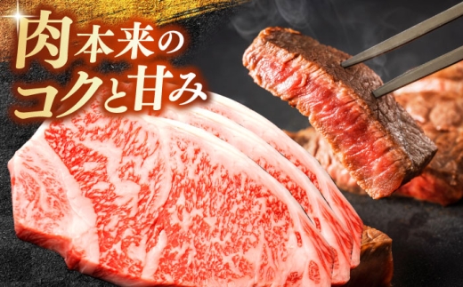 【全3回定期便】【奥出雲和牛】サーロインステーキ 600g(200×3枚) ブランド牛 焼肉 霜降り 高級 人気 ギフト おすすめ 島根県雲南市/島根県農業協同組合　雲南地区本部 畜産加工所 [AIB