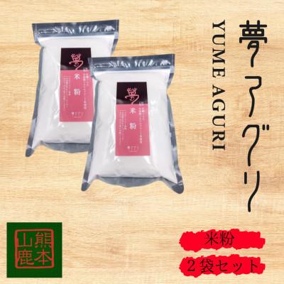 ふるさと納税 山鹿市 米粉　500g×2袋　【株式会社夢アグリ】《山鹿市》