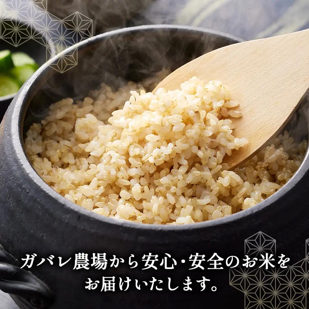 【アイガモ農法のお米】ガバレ農場「彩のきずな」5kg　玄米　精米歩合指定OK No.096