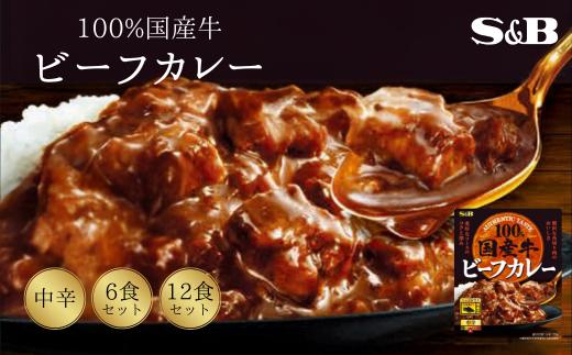 
            「S&B」国産牛ビーフカレー（中辛）170g×6個 or 12個　【S&B】SB 国産牛100％ お手軽 レンジ対応 湯煎 簡単調理 楽ちん おかず 夕食 中辛 グルメ レトルト エスビー 食品 埼玉県 加須市 加須 お取り寄せ 返礼品 ふるさと納税 送料無料 送料込み
          